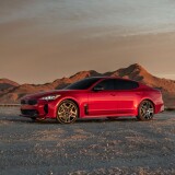 17032_2022_Stinger_GT579867a4cc90fc86