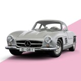 MB-300-SL-Gullwing-Pop-Art-11b8f638a77d6cecc7
