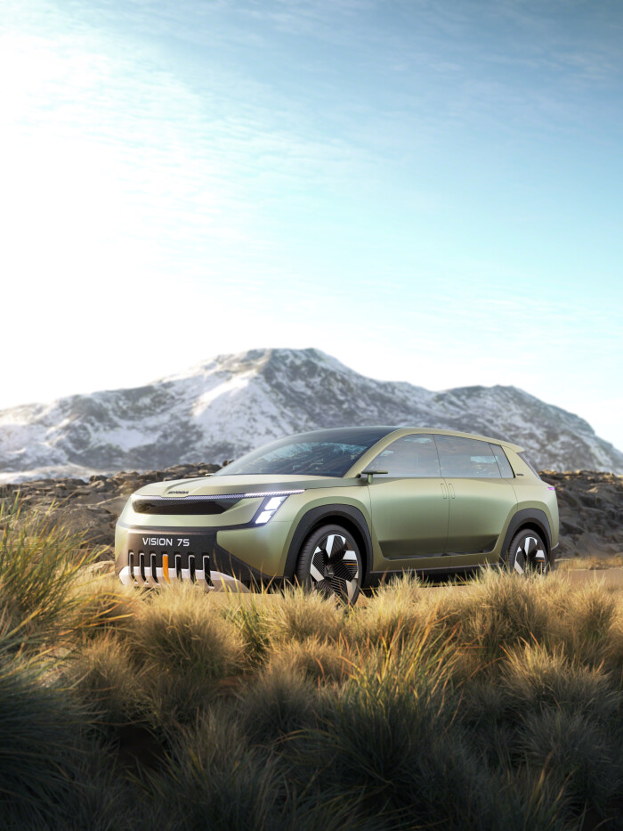Tundra_grass_29_02_confidential_PS08acf9b48bf987627c.jpg