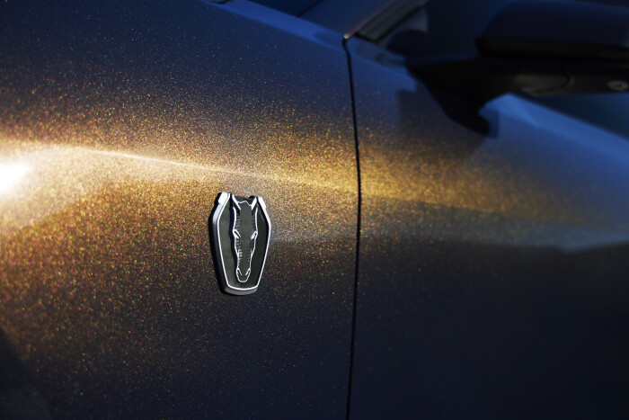Mustang-Dark-Horse-Badge28d0c00a198d4e28.jpg