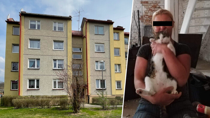 wspaniale-kreskowki-5a95a4f6dfecb9978.jpeg