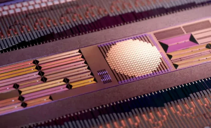 taara-chip410e71d2989d0f03.webp