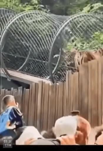 00d9053829a8eef9c1.mp4