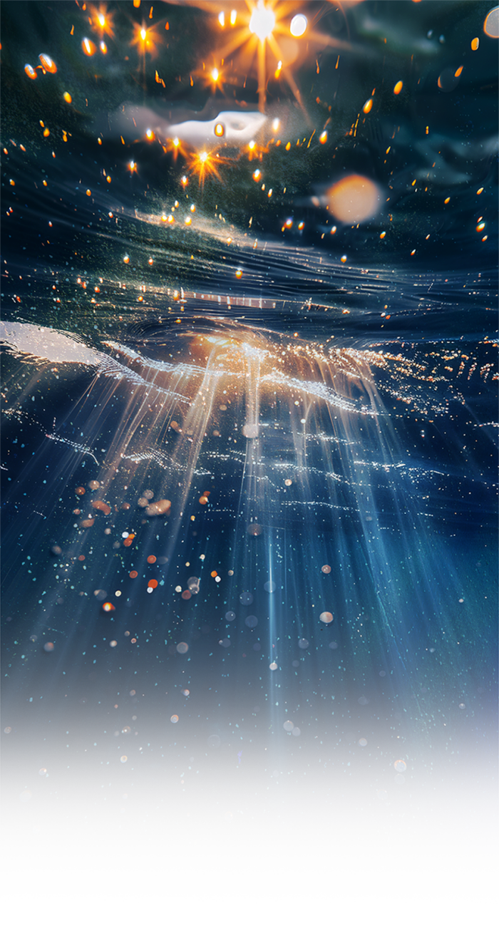 11e522524f51f368a7879a0f60ece07213d696318c0629b4.png