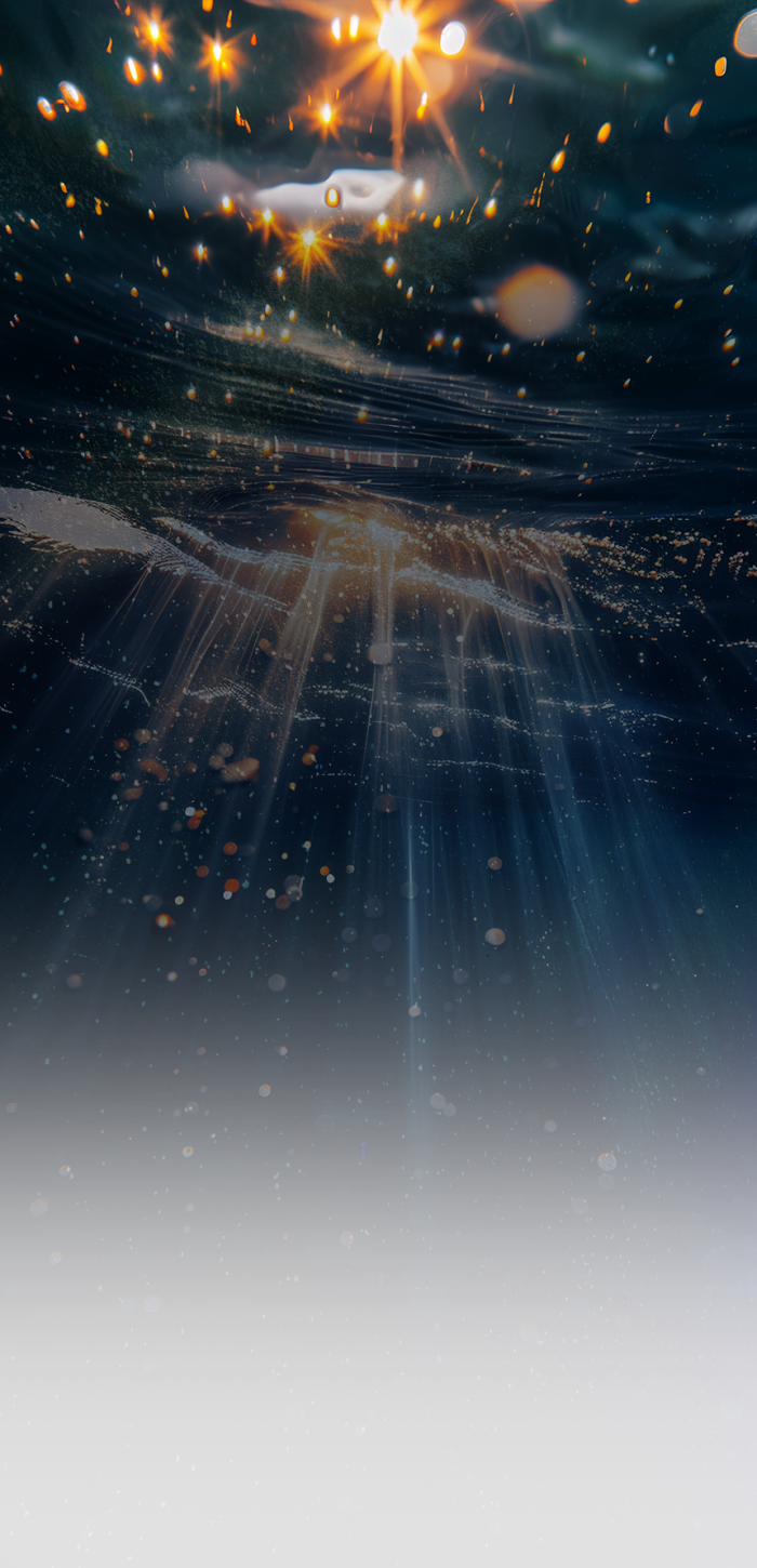 410981b08b27c590720202465db4e6ac93dc92e2adf3841d.png